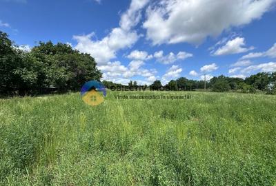 Teren Construcții intravilan de 5654 mp, în Dragomirești - 1