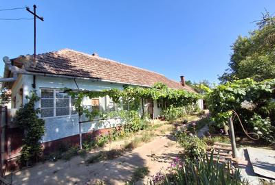 Casa+Terenuri 3,5ha-Voivozi,Simian,BH Valea lui Mihai schimb ap Oradea