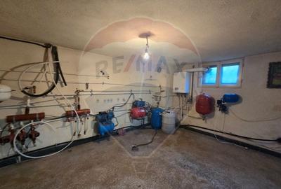 Casă cu 7 camere cu Teren 5175 Mp în Vințu de Jos - 16