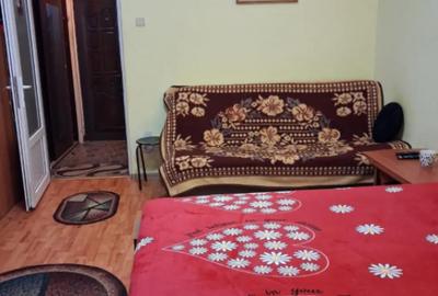 Garsonieră în Brazda lui Novac - 9