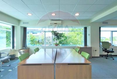 Birou, de 804 mp, în Calea Turzii - 12