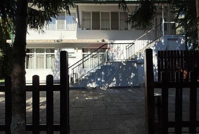 Spațiu comercial, de 300 mp, în Calea Romanului - 16