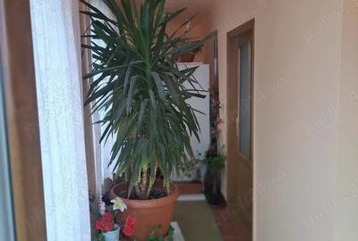 Casă cu 3 camere cu Teren 600 Mp în Vladimirescu - 7