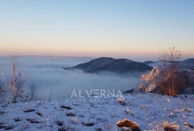 OPORTUNITATE | Teren intravilan | 34.625 mp | Plopi - Valea Ierii - 11