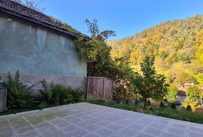 VILA MODERNA cu gradina in Schei - 17