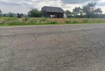 Casă cu 3 camere cu Teren 5000 Mp în Rădăuți - 6