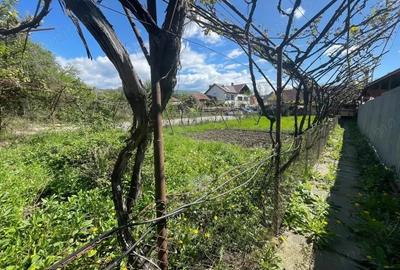 Vanzare proprietate in Novaci - langa supermarket Penny - 7