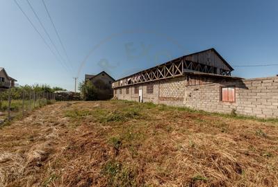Casa pentru oameni gospodari -  Bradu - 15 minute de Pitesti - 10