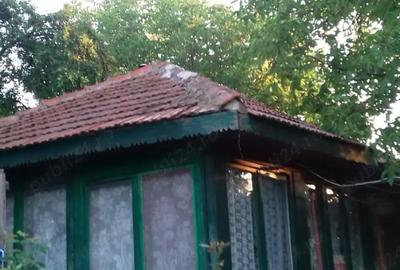 Casă cu Teren 1600 Mp în Sărulești - 3