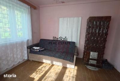 Casă cu 4 camere cu Teren 9563 Mp în Ribița - 16