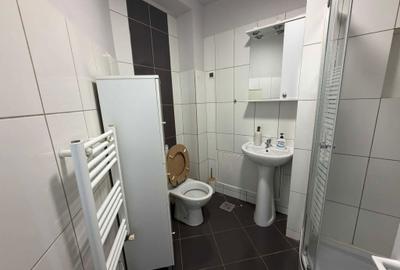 Apartament cu 2 camere semidecomandat în Păcurari - 11