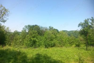 Teren de 2225 mp, în Provița de Jos - 7