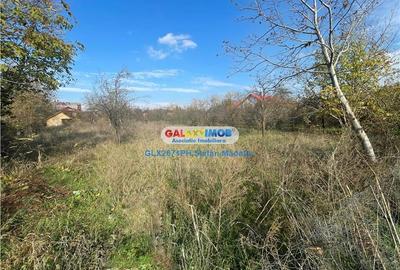 VANZARE TERENURI INTRAVILANE SI EXTRAVILANE - BAICOI, PRAHOVA - 2