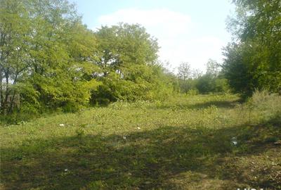 Teren în Sinești - 1