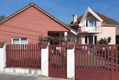 OFERTA in Bacia, Hunedoara ! Proprietate 2 case + Cabana + Livada - 17