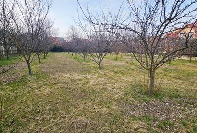 Teren Construcții intravilan de 1000 mp, în Pipera - 6