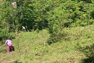 Teren Construcții intravilan de 2500 mp, în Prajila - 2