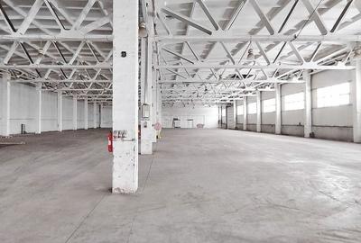 DEPOZITARE LOGISTIC PRODUCTIE - 7