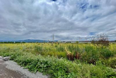 Teren intrare Sanpetru 10.689mp intravilan! - 3