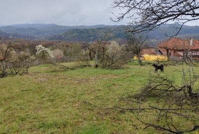 Teren extravilan de 4400 mp, în Ianculești - 1