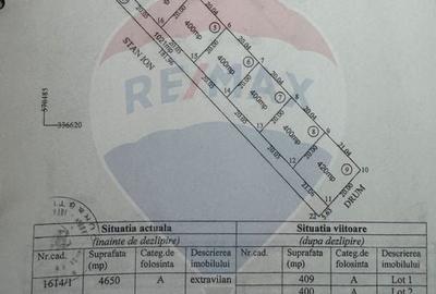 Teren lotizat 4,650mp Sabareni / Strada Cereanca - 3