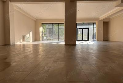 Spatiu comercial ultracentral de inchiriat, Calea Republicii - 2