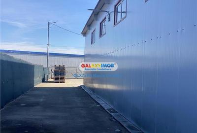 Inchiriere Hala Industriala Baicoi Prahova - 9