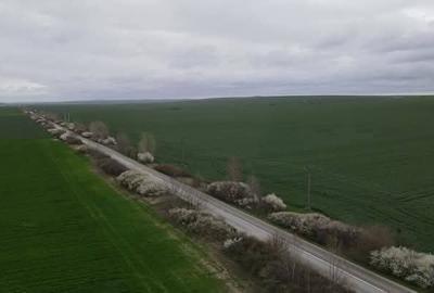 Teren Construcții intravilan de 27 mp, în Giarmata - 1