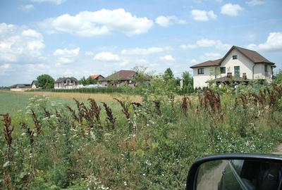 Teren Construcții intravilan de 20000 mp, în Tărtășești - 6