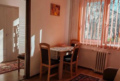 Apartament cu 2 camere semidecomandat în Valenta - 9