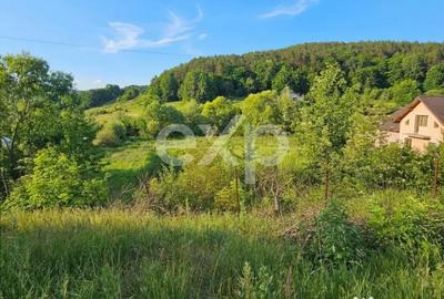 Teren în Podiș - 4