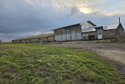 Spațiu comercial, de 120 mp, în Limanu - 1
