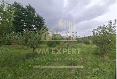 TEREN 20.621 MP CAMPULUNG - 8