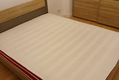 Apartament cu 2 camere decomandat în Bucureștii Noi - 12