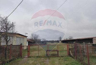 Casă cu 5 camere cu Teren 7531 Mp în Sacu - 9