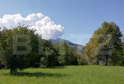 Teren 2500 mp, la strada, Ceahlau,, locatie perfecta - 2