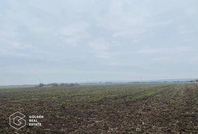 Teren, Intrare Recas, Drumul E70 - 1