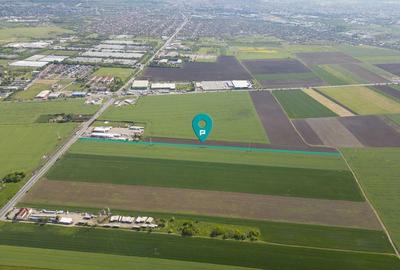 Teren 16.575 mp Arad / Soseaua DN79 - 3