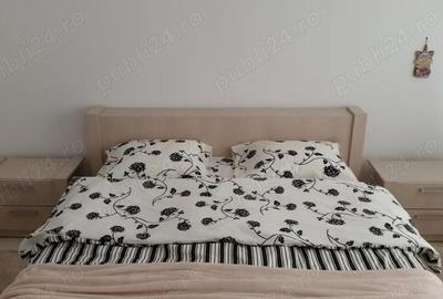 Apartament cu 2 camere decomandat în Ultracentral - 9