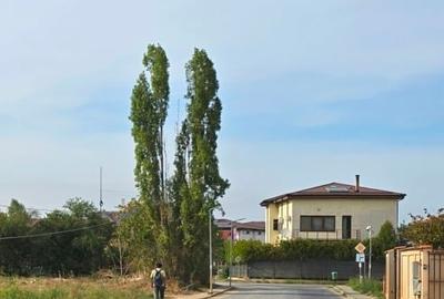 Teren Aviatiei-Pipera ,425 m.p., proprietar - 5