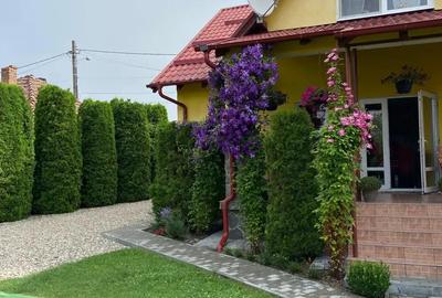Vand casa - 5