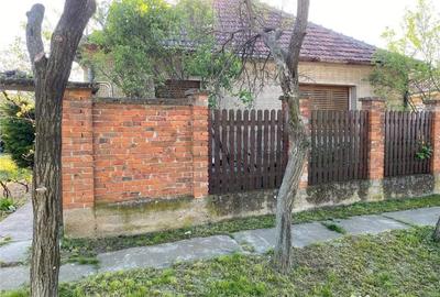 Casă cu 3 camere cu Teren 3000 Mp în Biharia - 7