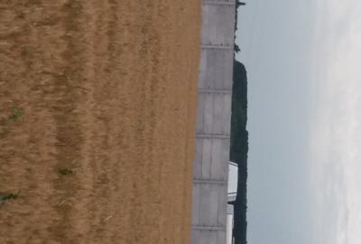 Vanzare Teren 5000mp intravilan Magurele - 6