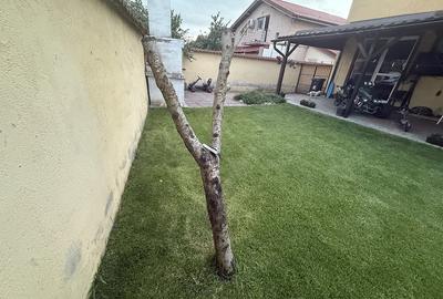 Casă cu Teren 400 Mp în Central - 5