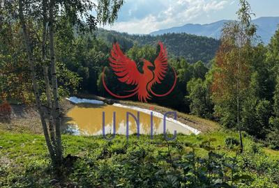 Teren Construcții extravilan de 18000 mp, în Exterior Est - 25