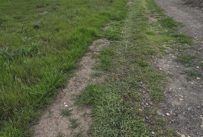Teren Construcții intravilan de 800 mp, în Năvodari - 3