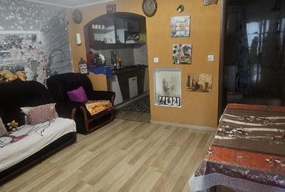 Casă cu Teren 3435 Mp în Peciu Nou - 2