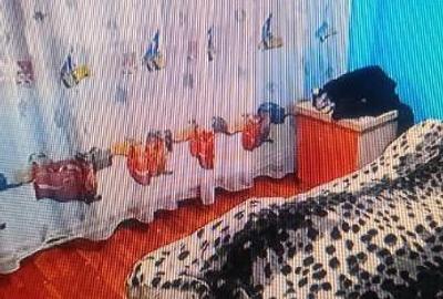 Apartament 2 camere confort 1 etaj 2 Radu Negru - 1