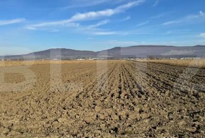 Teren de 5300 mp, în Arcalia - 5