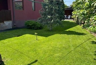 Vila cu gradina. Chitila. Exclusivitate. - 2